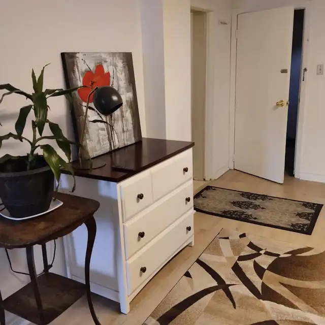 Bachelor basement apartment for rent in North York. - Photo 6