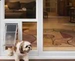 custom doggy door installation - Photo 2