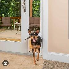 custom doggy door installation - Photo 3