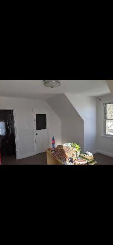 Painter / Painting Services - Photo 6