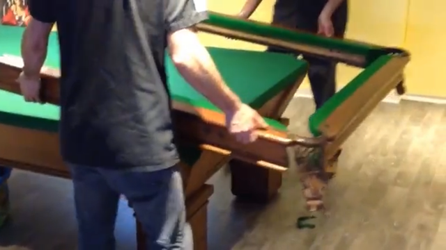 BILLARD9: changement de Tapis, Transport Reparation - Photo 6