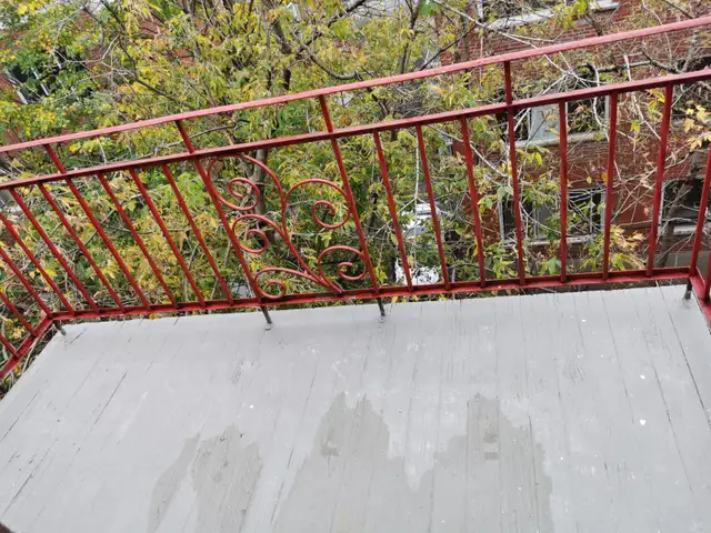 Big 4 1/2 apartment rent Cote des Neiges - Photo 3