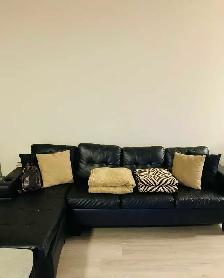 INTERNATIONAL STUDENTS WELCOME YONGE AND EGLINTON - Photo 4