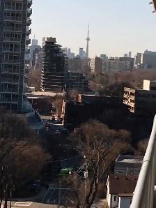 INTERNATIONAL STUDENTS WELCOME YONGE AND EGLINTON - Photo 10