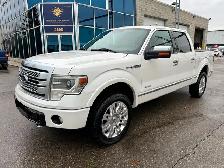 2013 Ford F-150 PLATINUM