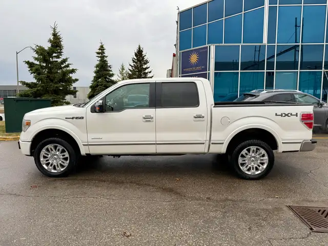 2013 Ford F-150 PLATINUM - Photo 2