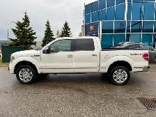 2013 Ford F-150 PLATINUM - Photo 2