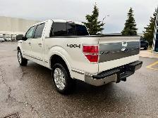 2013 Ford F-150 PLATINUM - Photo 3