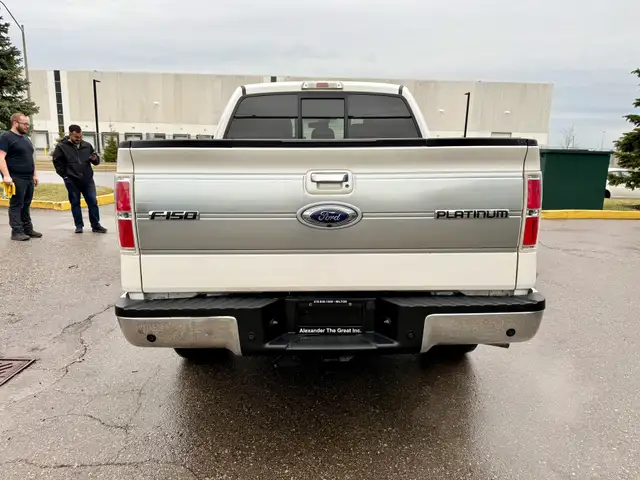 2013 Ford F-150 PLATINUM - Photo 4