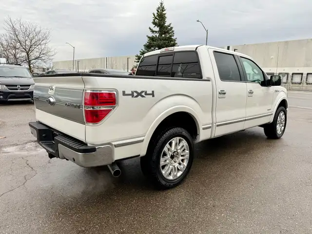 2013 Ford F-150 PLATINUM - Photo 5