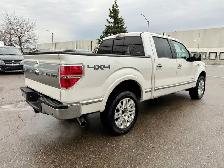 2013 Ford F-150 PLATINUM - Photo 5