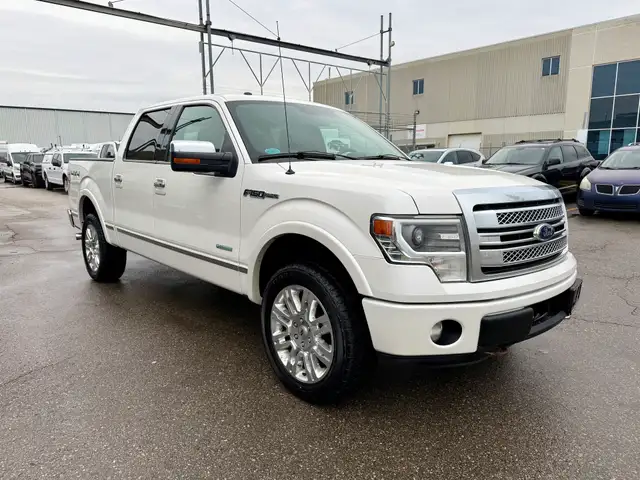2013 Ford F-150 PLATINUM - Photo 7