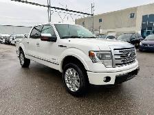 2013 Ford F-150 PLATINUM - Photo 7