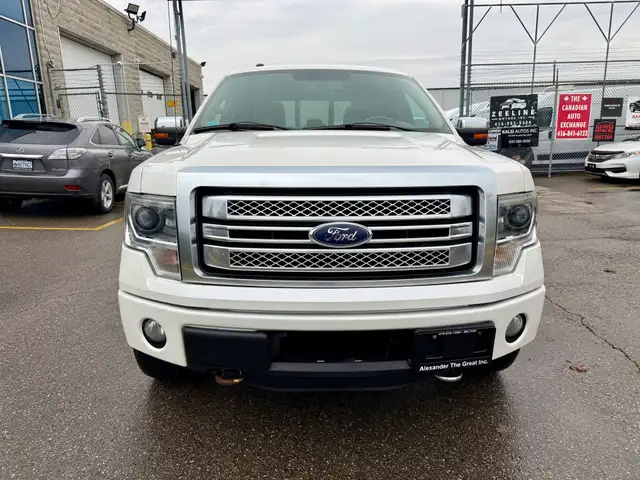 2013 Ford F-150 PLATINUM - Photo 8