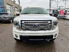 2013 Ford F-150 PLATINUM - Photo 8
