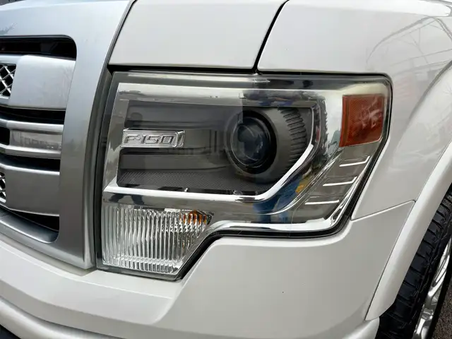 2013 Ford F-150 PLATINUM - Photo 9