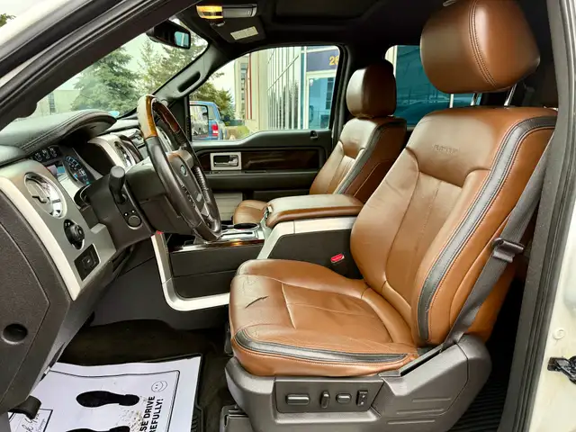 2013 Ford F-150 PLATINUM - Photo 11
