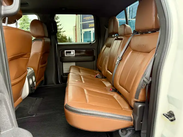 2013 Ford F-150 PLATINUM - Photo 12