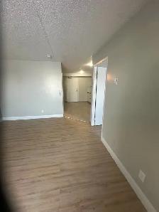 Ground Floor One Bedroom Available Now in Minnow Lake - Photo 5
