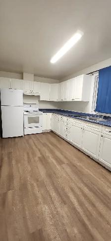 In Merritt 3 Bed 1 Bath Townhouse for $1950 plus hydro