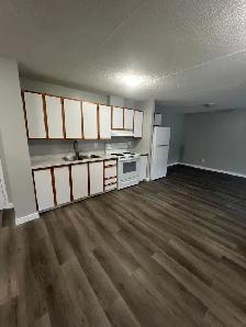 Two Bedroom Available for May Minnow Lake