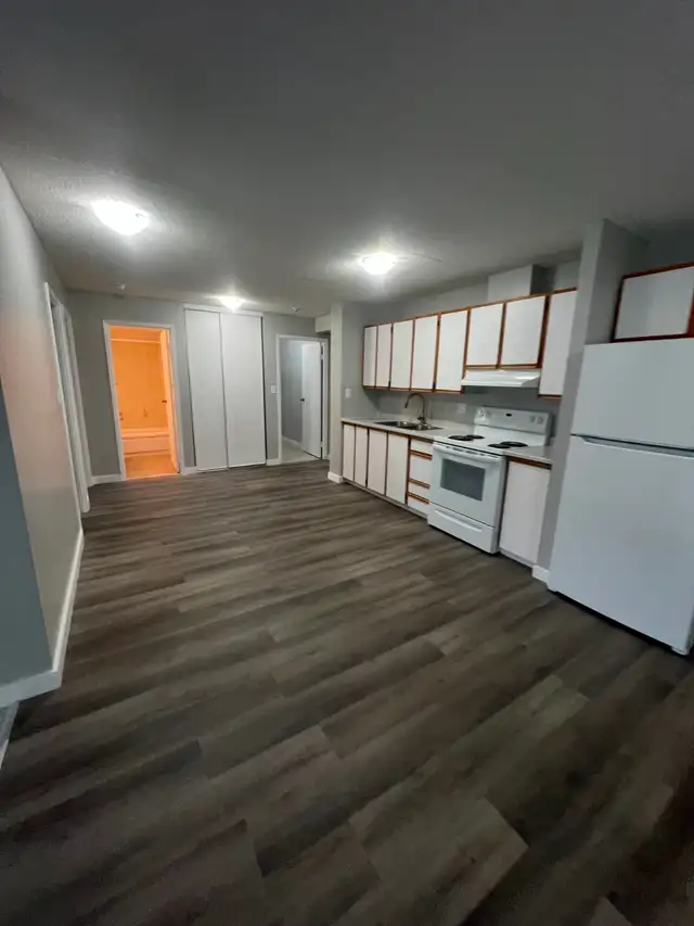 Two Bedroom Available for May Minnow Lake - Photo 2