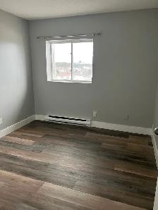 3 Bedroom Apartment Available May 1st in Minnow Lake Area - Photo 10