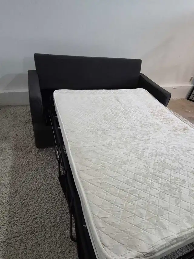 FREE DELIVERY Affordable Gray Pullout Sofabed 2 Seater/Loveseat - Photo 9