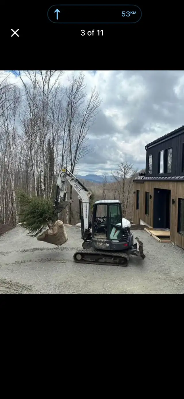 Trees for sale evergreen and decidious