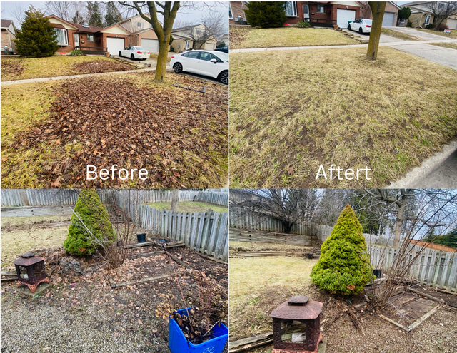 Spring Lawn Care Service – Kitchener/Waterloo/Cambridge - Photo 2