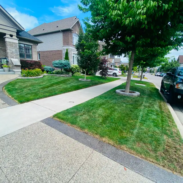 Spring Lawn Care Service – Kitchener/Waterloo/Cambridge - Photo 4