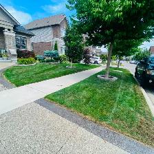 Spring Lawn Care Service – Kitchener/Waterloo/Cambridge - Photo 4