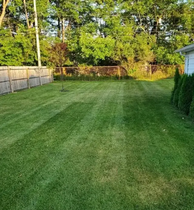 Spring Lawn Care Service – Kitchener/Waterloo/Cambridge - Photo 5