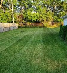 Spring Lawn Care Service – Kitchener/Waterloo/Cambridge - Photo 5