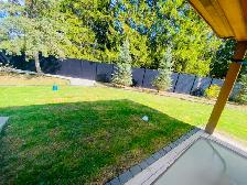 Spring Lawn Care Service – Kitchener/Waterloo/Cambridge - Photo 6