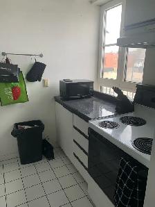 Luxury Studio for Rent – Steps from Metro Papineau - Photo 5