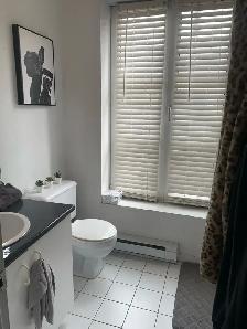 Luxury Studio for Rent – Steps from Metro Papineau - Photo 8