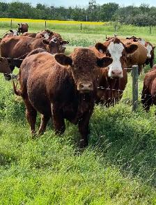 Farm Operator - Photo 2