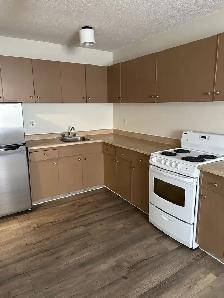 1 and 2 BD APARTMENTS for rent one block to NAIT - Photo 4