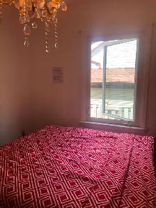 Furnished Room in a Prime Location in Scarborough for Rent - Photo 6