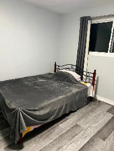 LUXURIOUS 3 BED ROOMS MAIN FLOOR HOUSE IN SCARBOROUH FOR RENT - Photo 10