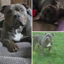 Please text me for details!