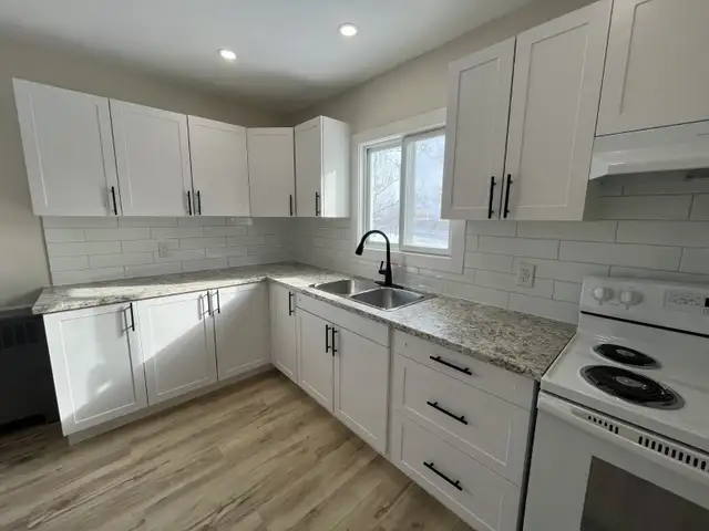 Newly Renovated 2 Bedroom   Den Basement Unit