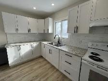 Newly Renovated 2 Bedroom   Den Basement Unit