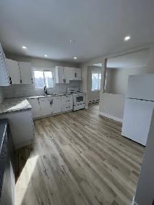 Newly Renovated 2 Bedroom   Den Basement Unit - Photo 2