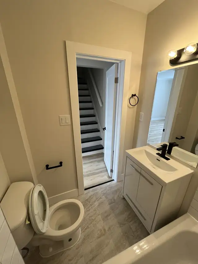 Newly Renovated 2 Bedroom   Den Basement Unit - Photo 3