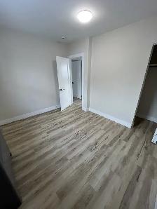 Newly Renovated 2 Bedroom   Den Basement Unit - Photo 6