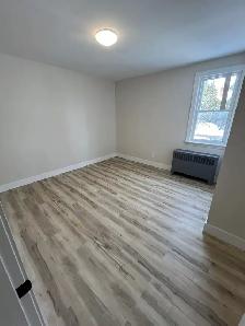 Newly Renovated 2 Bedroom   Den Basement Unit - Photo 10