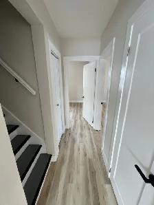 Newly Renovated 2 Bedroom   Den Basement Unit - Photo 11