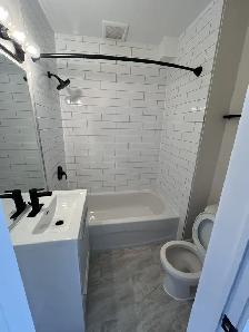 Newly Renovated 2 Bedroom   Den Basement Unit - Photo 12